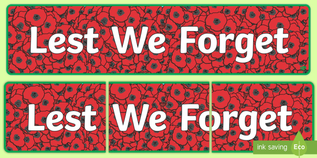 3 metre long 10 flag bunting Horizontal Army Lest We Forget 