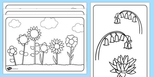 Free Flowers Colouring Pages Primary Flower Colouring In