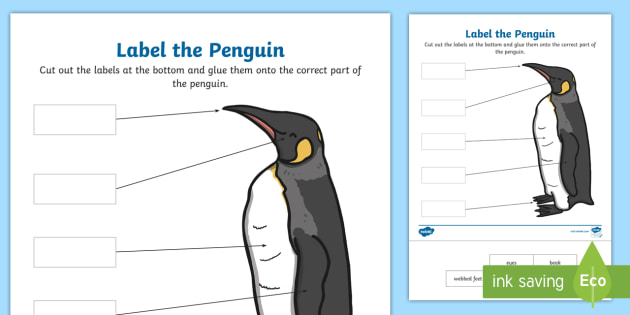 Label the Penguin Worksheet (Teacher-Made) - Twinkl