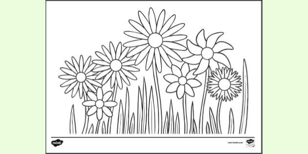 Spring Flowers Colouring Sheet | Colouring Sheets