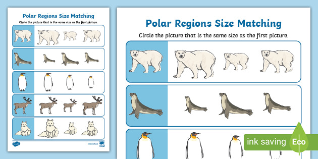 Polar Regions Size Matching Worksheet (teacher made)