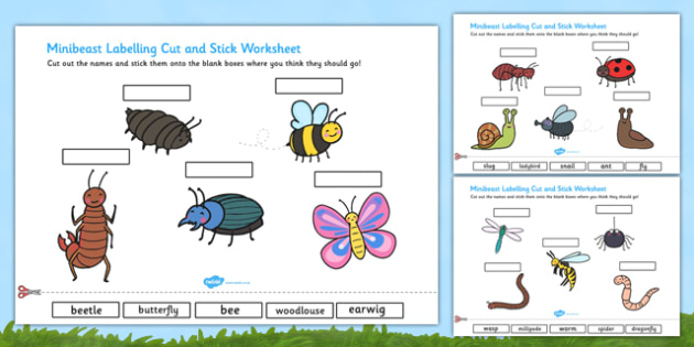 Minibeasts Scene Labelling Cut and Stick Worksheet - minibeast