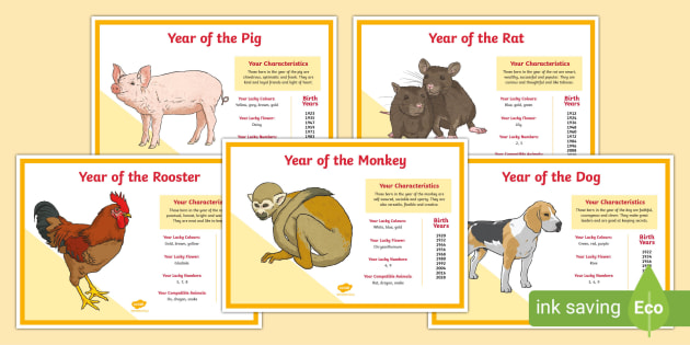 Chinese Zodiac Animal Display Posters teacher made