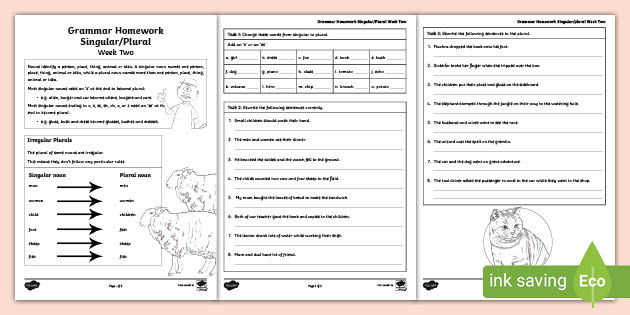 homework english grammar