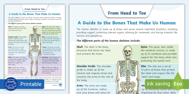 The Skull - The Definitive Guide