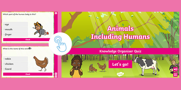 Animals Including Humans Quiz | Twinkl Go! (teacher made)
