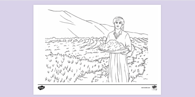 FREE! - Workers in the Vineyard Colouring Page