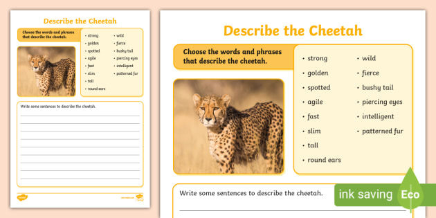 Describe a Cheetah Writing Activity (teacher made)