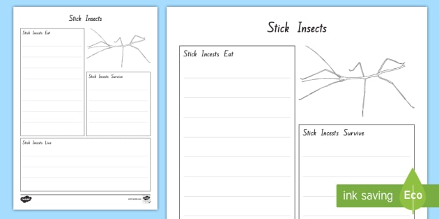 FREE! - Year 3 and 4 Week 2 Chapter Chat Research about Stick Insects ...