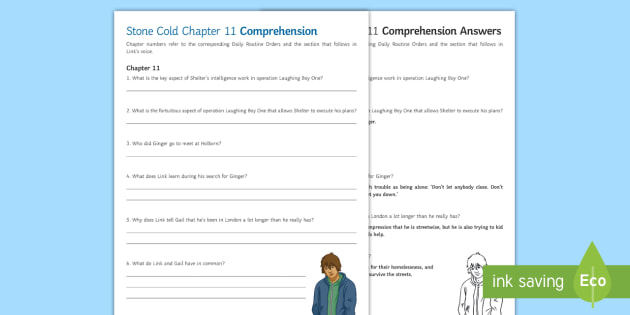 Chapter 11 Comprehension Questions to Support Teaching on 'Stone Cold' by