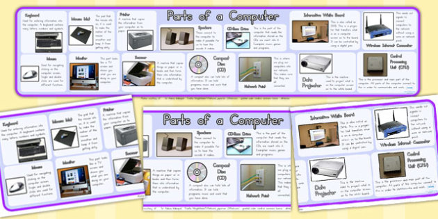 Parts Of A Computer Display Banner Teacher Made