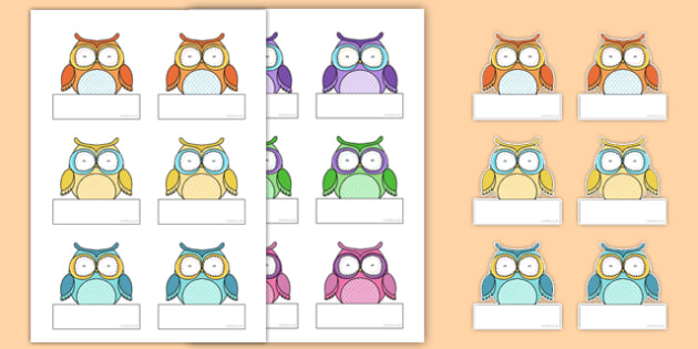 Cute Owl Themed Self Registration Labels Teacher Made