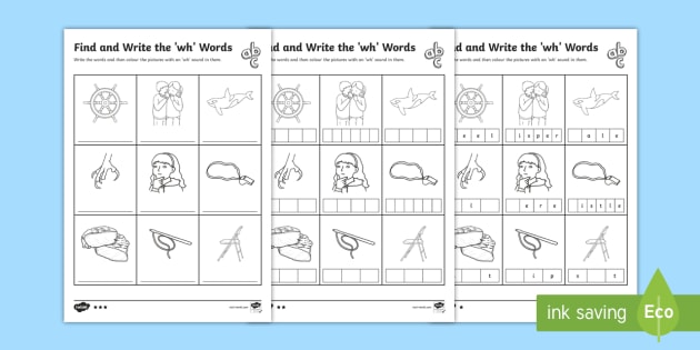 Find and Write the wh Words Differentiated Worksheet / Activity