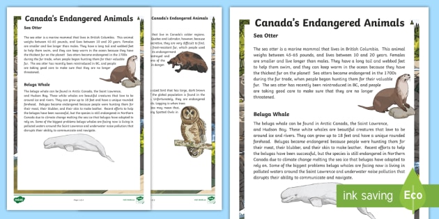 FREE! - Canada's Endangered Animals Fact File (teacher made)