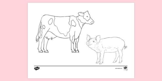 FREE! - Cow and Pig Colouring Sheet | Colouring Sheets | Twinkl
