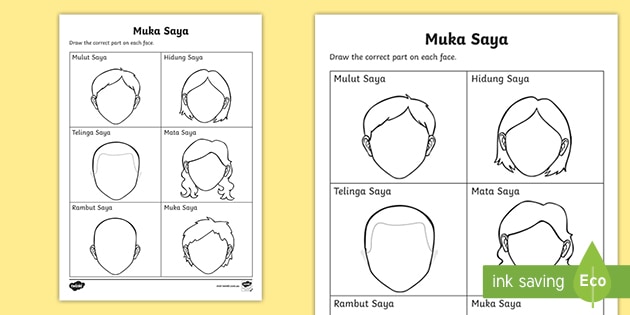 Parts Of The Face Read And Draw Worksheet (teacher Made)