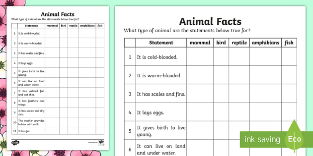 Animal Facts Classification Activity (teacher made) - Twinkl