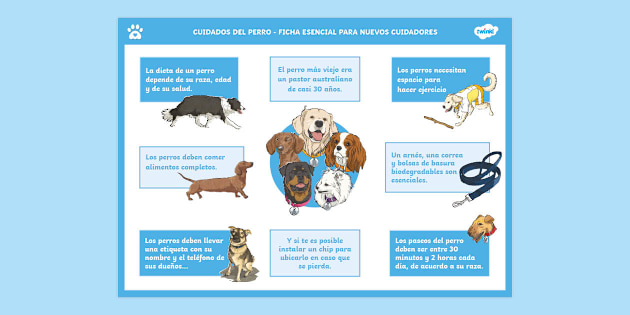 Guía escolar: ¿Cómo cuidar a tu perro? Twinkl Colombia