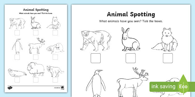 Polar Regions Animal Spotting Form (teacher made)