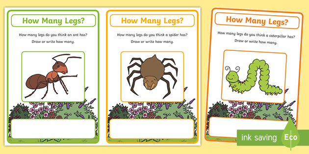 * NEW * How Many Legs? Activity