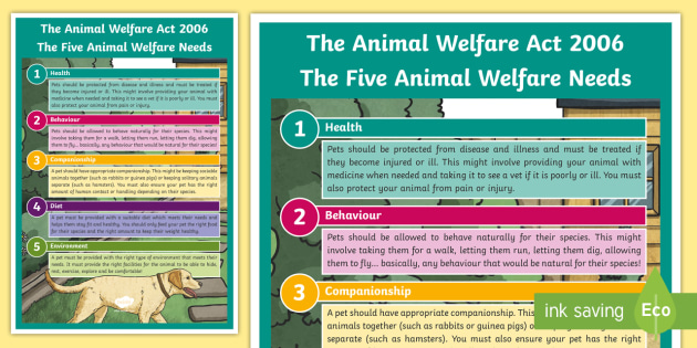 The Five Animal Welfare Needs (The Animal Welfare Act 2006) A4 Display ...