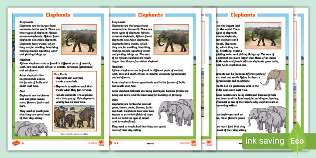 Three unusal facts for asian elephant