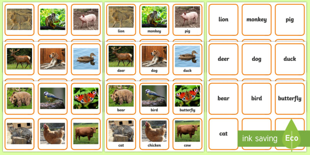 Animal Names With Pictures Matching Cards Activity