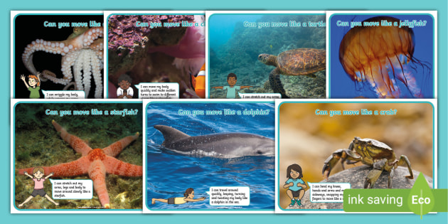 Under the Sea Creatures Movement Display Posters