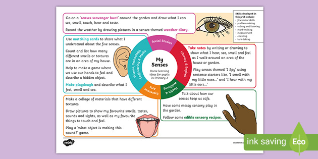 My Senses P2 Interactive Topic Grid - CfE Activity Ideas