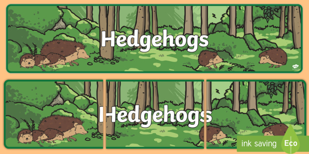 Hedgehogs Display Banner Teacher Made
