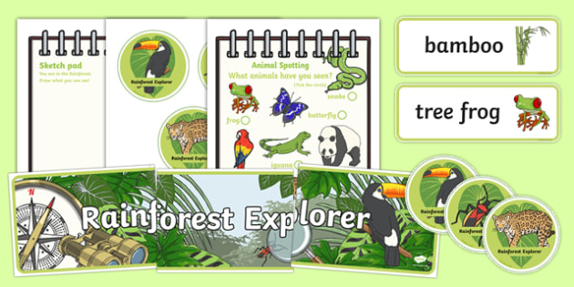 Rainforest Explorer Role Play Pack (teacher made)