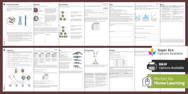 New Gcse Inheritance Variation And Evolution Worksheets Beyond