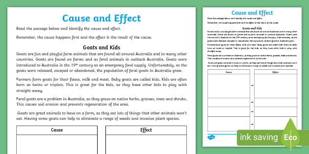 Cause And Effect Worksheet Pdf Grade 4