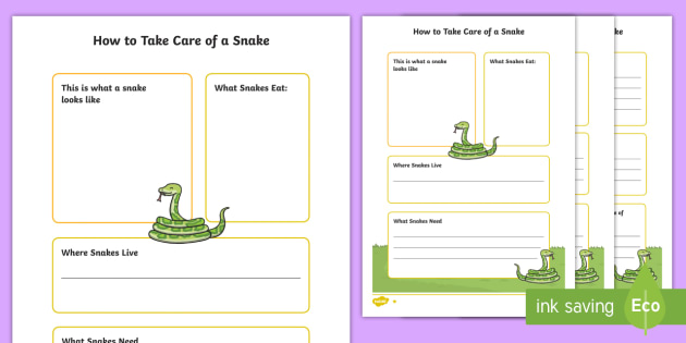 How To Take Care Of A Snake Fact File (teacher made)