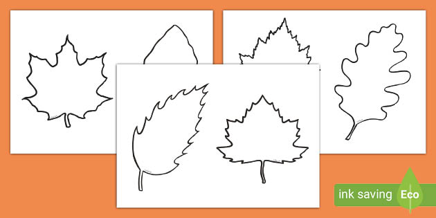 Blank Leaves Template (teacher made)