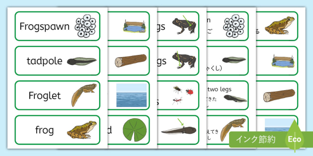 英語・日本語単語カードセット　公文 英語・日本語単語カードセット 公文