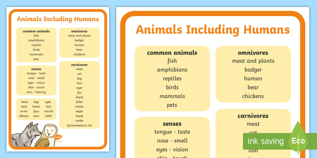 Year 1 Animals Including Humans Scientific Vocabulary Poster