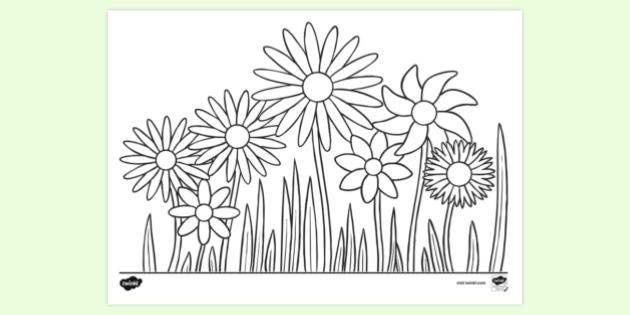 Free Floral Colouring Page Colouring Sheets