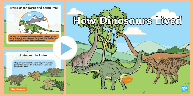 How　Did　Dinosaurs　How　Dinosaurs　PowerPoint　Lived　Live?