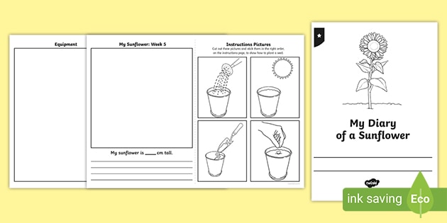 My Diary Of A Sunflower Booklet Template Teacher Made