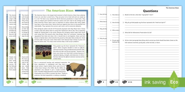 American Bison Information Sheets and Questions