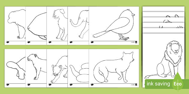 Animal Outline Templates - Animal Outlines For Kids - Twinkl