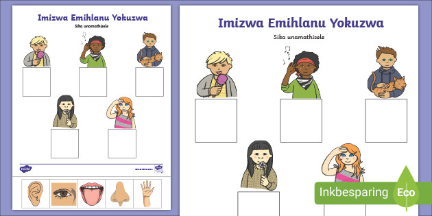 five senses printable worksheet isizulu south africa