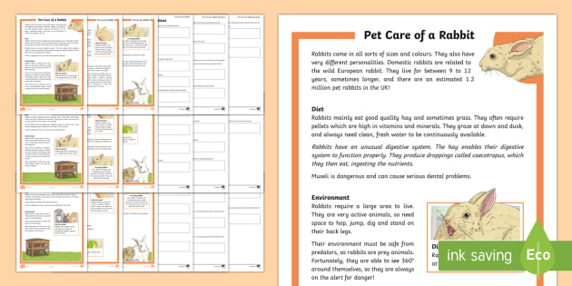 ks2-pet-care-of-a-rabbit-differentiated-comprehension-worksheets-ks2