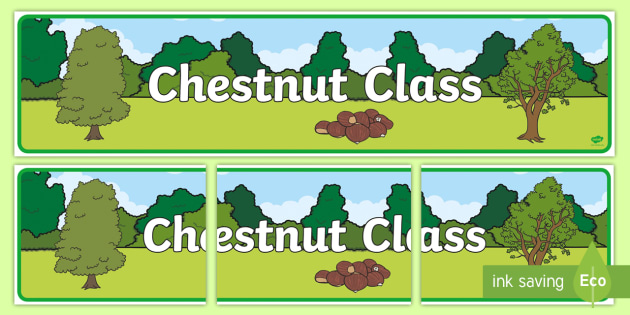 👉 Chestnut Class Display Banner