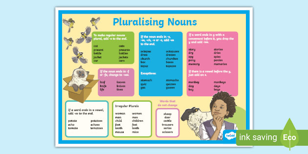 Pluralising Nouns Poster (teacher made)