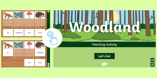 Woodland Online Bf Video - Interactive Woodland Matching Activity | Twinkl Go! - Twinkl