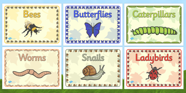 editable-class-group-names-signs-minibeasts