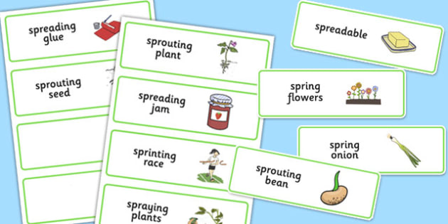 3 Syllable Spr Word Cards Teacher Made