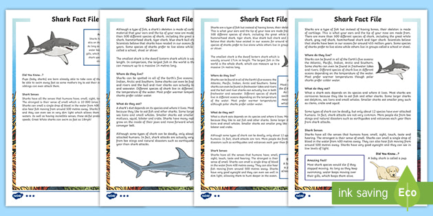 shark-fact-file-shark-reading-comprehension-activity